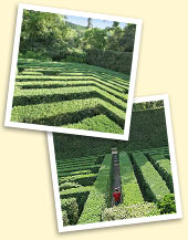 Giardino di Valsanzibio